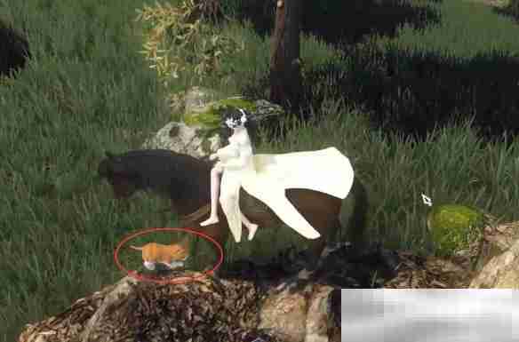 《逆水寒手游》捉猫记奇遇攻略