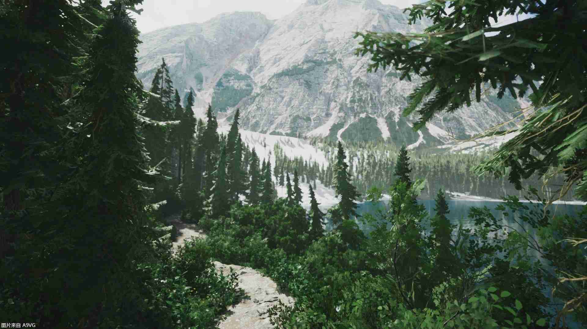 摄影模拟游戏《Lushfoil Photography Sim》将于4月15日发售