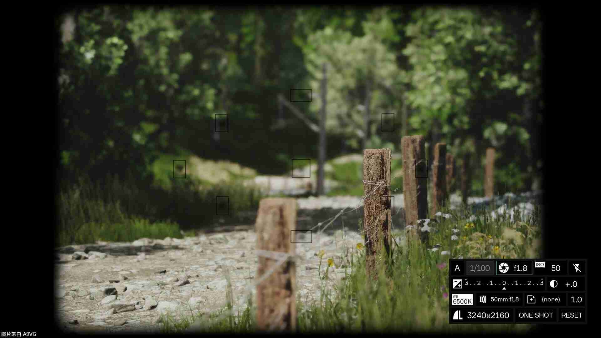 摄影模拟游戏《Lushfoil Photography Sim》将于4月15日发售