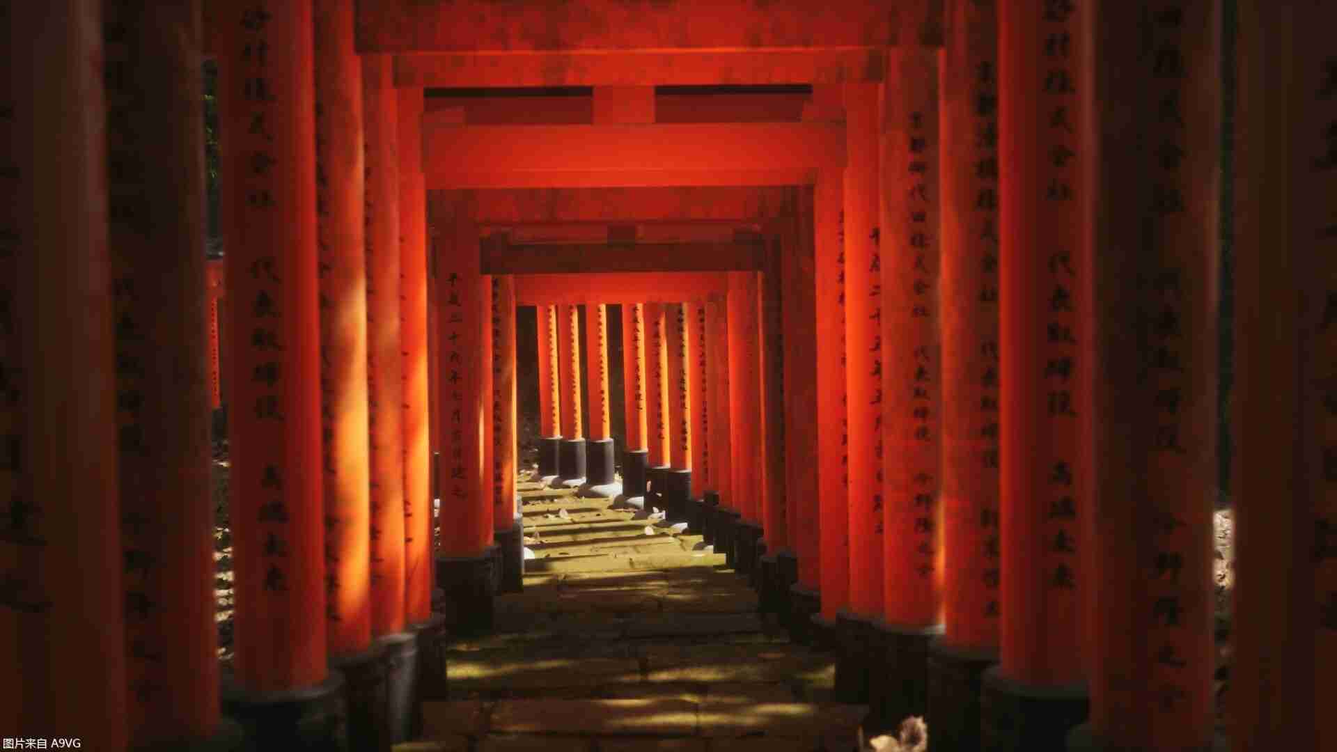 摄影模拟游戏《Lushfoil Photography Sim》将于4月15日发售