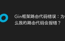 Gin框架路由代码错误：为什么我的路由代码会报错？