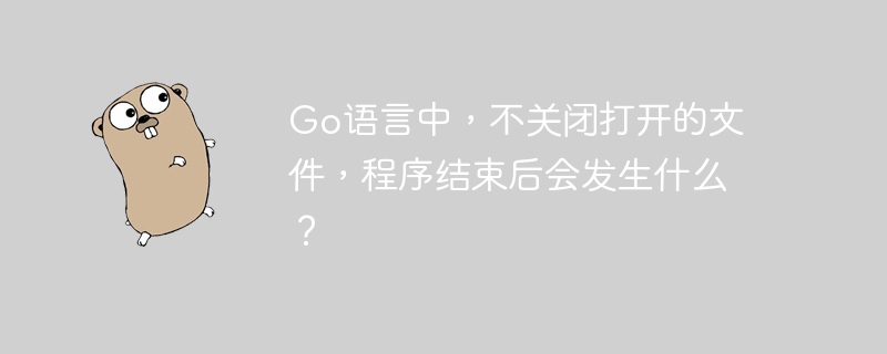 go语言中，不关闭打开的文件，程序结束后会发生什么？