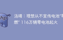 汤靖：理想从不宣传电池“零自燃” 116万辆零电池起火