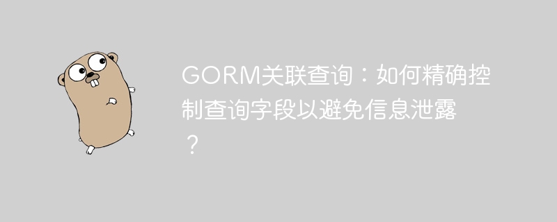 gorm关联查询：如何精确控制查询字段以避免信息泄露？