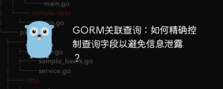 GORM关联查询：如何精确控制查询字段以避免信息泄露？
