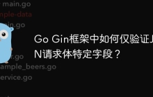 Go Gin框架中如何仅验证JSON请求体特定字段？