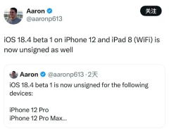 苹果发布更新测试版本  iPhone 12等机型遇“变砖”BUG