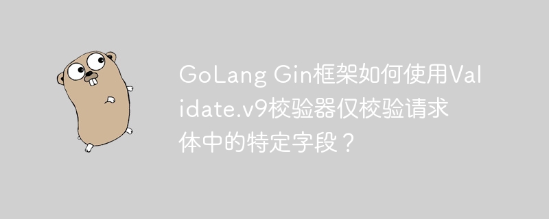 golang gin框架如何使用validate.v9校验器仅校验请求体中的特定字段？