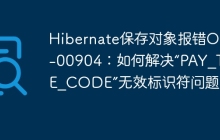 Hibernate保存对象报错ORA-00904：如何解决“PAY_TYPE_CODE”无效标识符问题？