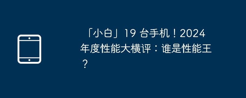 「小白」19 台手机！2024 年度性能大横评：谁是性能王？ 