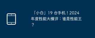  「小白」19 台手机！2024 年度性能大横评：谁是性能王？ 