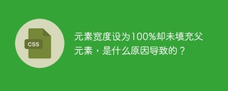 元素宽度设为100%却未填充父元素，是什么原因导致的？