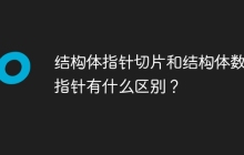 结构体指针切片和结构体数组指针有什么区别？