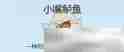 《星露谷物语》小嘴鲈鱼收集攻略