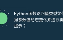 Python函数返回值类型如何根据参数值动态变化并进行类型提示?