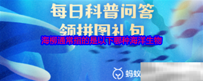 海柳通常指的是以下哪种海洋生物