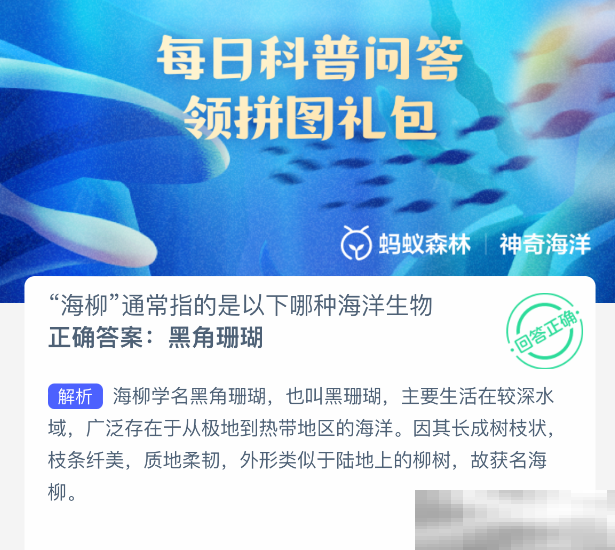 海柳通常指的是以下哪种海洋生物
