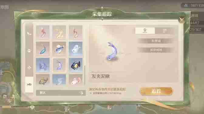 《无限暖暖》绸带鱼去哪里采集 绸带鱼采集点位分享