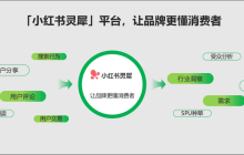小红书灵犀全量开放中，科学营销时代真的要来了