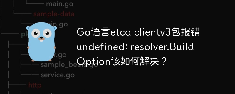 go语言etcd clientv3包报错undefined: resolver.buildoption该如何解决？