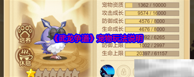 《武龙争道》宠物玩法说明