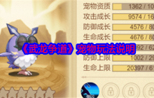 《武龙争道》宠物玩法说明