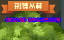 《武龙争道》荆棘丛林玩法说明