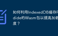 如何利用IndexedDB缓存Pyodide的Wasm包以提高加载速度？