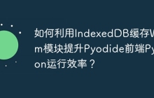 如何利用IndexedDB缓存Wasm模块提升Pyodide前端Python运行效率?