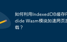 如何利用IndexedDB缓存Pyodide Wasm模块加速网页加载?