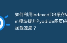 如何利用IndexedDB缓存Wasm模块提升Pyodide网页应用加载速度？