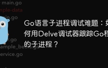 Go语言子进程调试难题：如何用Delve调试器跟踪Go程序的子进程？