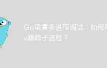 Go语言多进程调试：如何用dlv跟踪子进程？