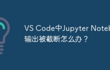 VS Code中Jupyter Notebook输出被截断怎么办?