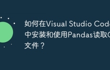 如何在Visual Studio Code中安装和使用Pandas读取CSV文件？
