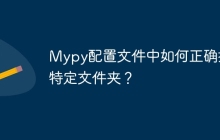 Mypy配置文件中如何正确排除特定文件夹?