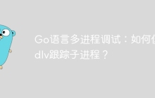 Go语言多进程调试：如何使用dlv跟踪子进程？