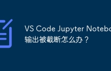 VS Code Jupyter Notebook输出被截断怎么办?
