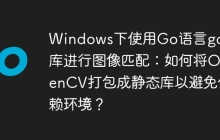 Windows下使用Go语言gocv库进行图像匹配：如何将OpenCV打包成静态库以避免依赖环境？