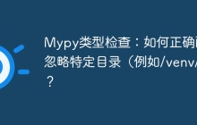 Mypy类型检查:如何正确配置忽略特定目录(例如/venv/)?