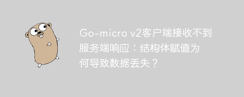 Go-micro v2客户端接收不到服务端响应：结构体赋值为何导致数据丢失？