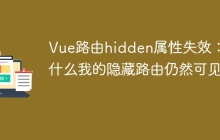 Vue路由hidden属性失效：为什么我的隐藏路由仍然可见？