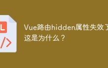 Vue路由hidden属性失效了，这是为什么？