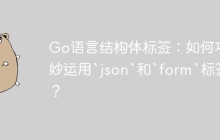Go语言结构体标签：如何巧妙运用`json`和`form`标签？