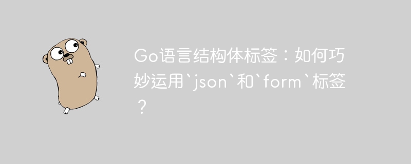 go语言结构体标签：如何巧妙运用`json`和`form`标签？