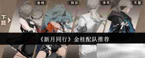 《新月同行》金桂配队推荐