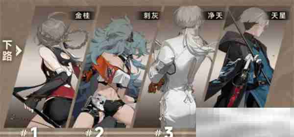《新月同行》金桂配队推荐