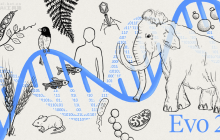 Evo 2— Acr研究所联合英伟达、斯坦福等推出的生物学AI模型