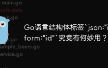 Go语言结构体标签`json:"id" form:"id"`究竟有何妙用？