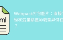 Webpack打包图片：直接写路径和变量赋值加载差异何在？